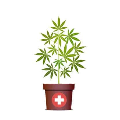 CBD Oil Organic Sylacauga 
      AL 35150